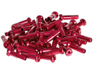 Salt Pro Alloy Spoke Nipples (Red) (Bag of 40) | product-also-purchased