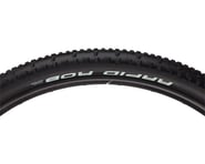 more-results: Schwalbe Rapid Rob tires use the tread profile of it's predecessor, Racing Ralph, insp