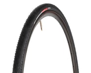 more-results: The Specialized All Condition Armadillo Elite Tire is the most flat-resistant tire ava
