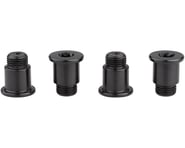 SRAM Force eTap AXS Chainring Bolt Kit (Black) (Aluminum) (4 Pack) | product-related
