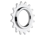 Surly Track Cog (Silver) (Single Speed) | product-related