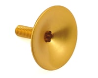 Absolute Black Integrated Top Cap for Headset (Gold)