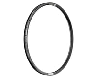 DT Swiss E 593 Tubeless Enduro Rim (Black) (Alloy) (30mm Internal Width)