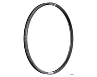 DT Swiss F 572 Tubeless DH Rim (Black) (Alloy) (30mm Internal Width)