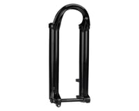 Fox Suspension Lower Leg Assembly (2021 36 29in 130-170, 15x110 QR, F-S PE-S, Shiny Black)