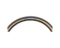 Panaracer Pasela ProTite Tire (Tan Wall) (26") (1.25")