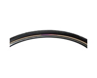 Panaracer Pasela Road Tire (Tan Wall) (27") (1-1/8") (630 ISO)