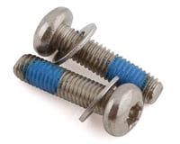 Paul Components Stainless Mounting Bolts (T-25) (Pair) (For Flat Mount Calipers)