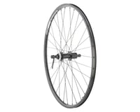 Quality Wheels Value Double Wall Series Rim/Disc Rear Wheel (Black) (Shimano HG) (QR x 135mm) (26")