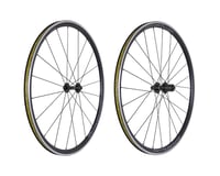 Ritchey Zeta Comp Wheelset (Black) (Shimano HG 11/12) (QR x 100, QR x 130mm) (700c)