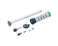 RockShox Psylo Silver A1 Damper (Crown)