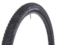 Specialized Fast Trak Tubeless Mountain Tire (Black)