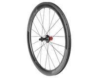 Specialized Roval CLX 50 Rear Wheel (Carbon/Black)