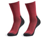 Specialized Primaloft Lightweight Tall Logo Socks (Maroon)