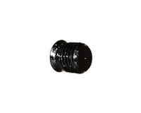 Specialized Plug Bolt (6mm) (Alloy) (Road/Mountain)