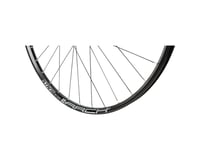 Stans Arch S1 Disc Rear Wheel (Black)