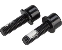 TRP Mounting Bolts for Flat Mount Rear Calipers (Black)