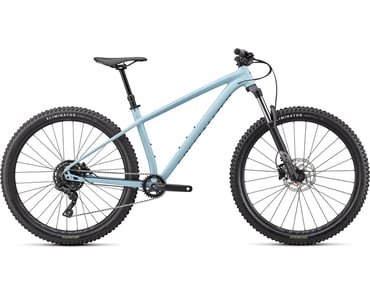 Specialized Rockhopper Comp 29 Hardtail Mountain Bike (White Sage/Forest  Green) (L)