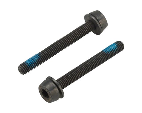 Campagnolo H11 Disc Caliper Mounting Screws, 2x39mm, for 30-34mm Rear Mount Thic