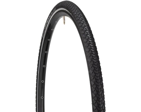 Continental Contact Plus Road Tire (Black/Reflex) (26" / 559 ISO) (1.75")
