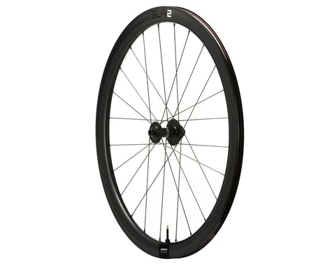 Giant SLR 2 42 Disc Road Wheels (Black) (Front) (12 x 100mm) (700c)