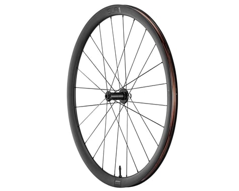 Giant SLR 1 36 Disc Road Wheels (Black) (Front) (12 x 100mm) (700c)