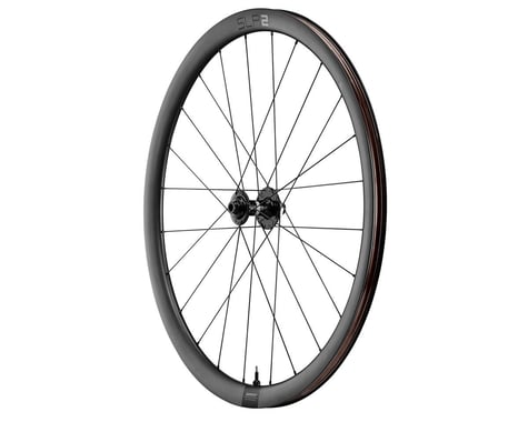 Giant SLR 2 36 Disc Road Wheels (Black) (Front) (12 x 100mm) (700c)