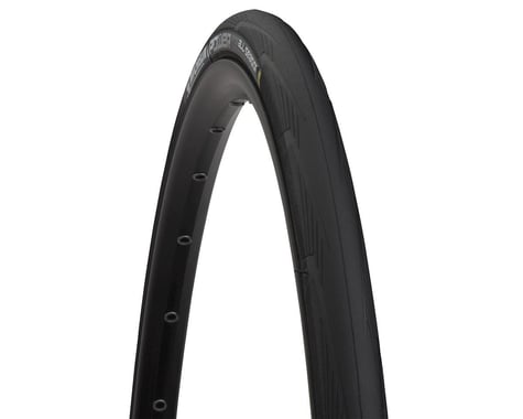 Michelin Power All Season Road Tire (Black)