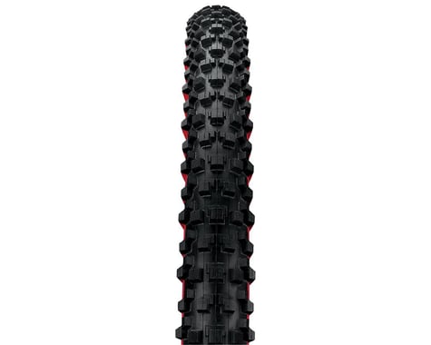 Panaracer Fire XC Pro MTB Tire (Black/Red) (26 x 2.1)