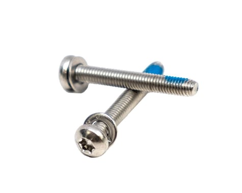 Paul Components Stainless Mounting Bolts (T-25) (Pair) (For Flat Mount Calipers) (30mm)