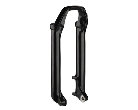 RockShox Lower Leg (29 15x110 Boost Black)