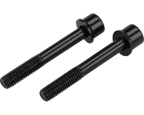 TRP Mounting Bolts for Flat Mount Rear Calipers (Black) (37mm)