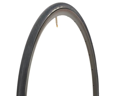 Vittoria Rubino Pro III Road Tire (Black) (Folding)