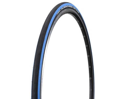 Vittoria Rubino Pro G+ Tire (Folding Clincher) (Blue/Black/Blue) (700 x 25)