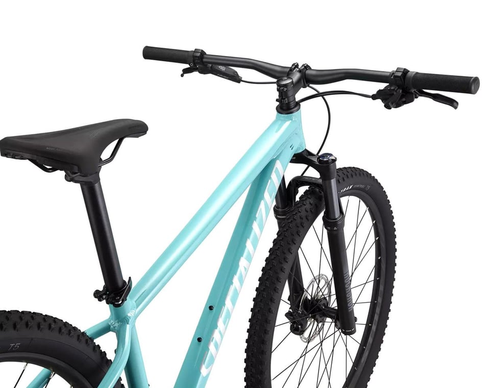 Specialized blue mountain deals bike