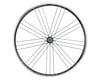 Image 3 for Campagnolo Calima Wheelset (Black) (Campagnolo 10/11/12) (QR x 100, QR x 130mm) (700c / 622 ISO)
