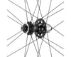 Image 2 for Campagnolo Shamal Carbon Disc Brake Rear Wheel (Black) (Campagnolo N3W) (12 x 142mm) (700c / 622 ISO)
