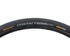 Image 1 for Continental Contact Speed Tire (Black) (700c / 622 ISO) (32mm)