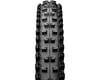 Image 2 for Continental Der Baron Projekt ProTection Apex Tubeless Tire (Black) (29" / 622 ISO) (2.4")