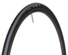 Image 1 for Forte PRO+ Road Tire (60TPI) (Wire Bead) (700c / 622 ISO) (23mm)