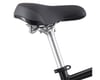 Image 8 for iZip Alki 1 Upright Comfort Bike (Black) (15" Seattube) (S)