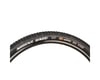Image 1 for Maxxis Ardent Race Tubeless Mountain Tire (Black) (Folding) (29" / 622 ISO) (2.2") (3C MaxxSpeed/EXO)