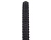 Image 3 for Maxxis Aggressor Tubeless Mountain Tire (Black) (Folding) (29" / 622 ISO) (2.3") (Dual/EXO)