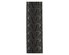 Image 2 for Panaracer Pasela ProTite Tire (Black/Tan) (700c / 622 ISO) (23mm)