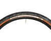 Image 3 for Panaracer Gravelking SK Tubeless Gravel Tire (Black/Brown) (700c / 622 ISO) (50mm)