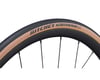 Image 3 for Ritchey Comp Race Slick Road Tire (Tan Wall) (700c / 622 ISO) (25mm)