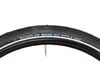 Image 3 for Schwalbe Big Apple Kevlar Guard Tire (Black) (29" / 622 ISO) (2.0")