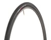 Image 1 for Specialized Turbo Pro Road Tire (Black) (700c / 622 ISO) (24mm)
