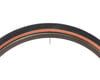 Image 3 for Specialized Sawtooth Tubeless Adventure Tire (Tan Wall) (700c / 622 ISO) (42mm)