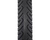 Image 3 for Sunlite Slick Cruiser Tire (Black) (24" / 507 ISO) (3.0")